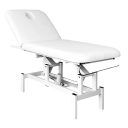 ELEKTRA Electric Aesthetic Treatment Table