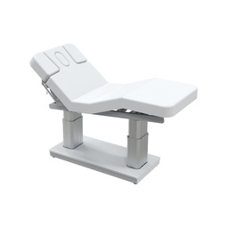 FLORA Electric Massage and Treatment Table