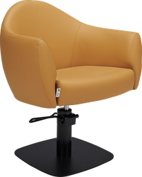 [MI-AUDREY] AUDREY Fauteuil Coiffure