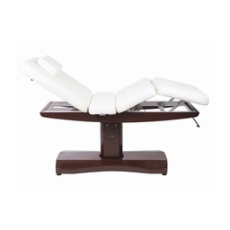 ULNA Electric Massage and Treatment Table