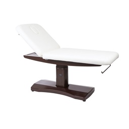 TRAPP Electric Massage and Treatment Table